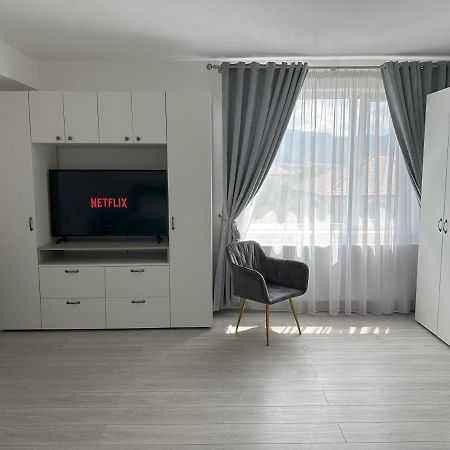 Apartmán Elisio - Maple House Ghimbav Exteriér fotografie