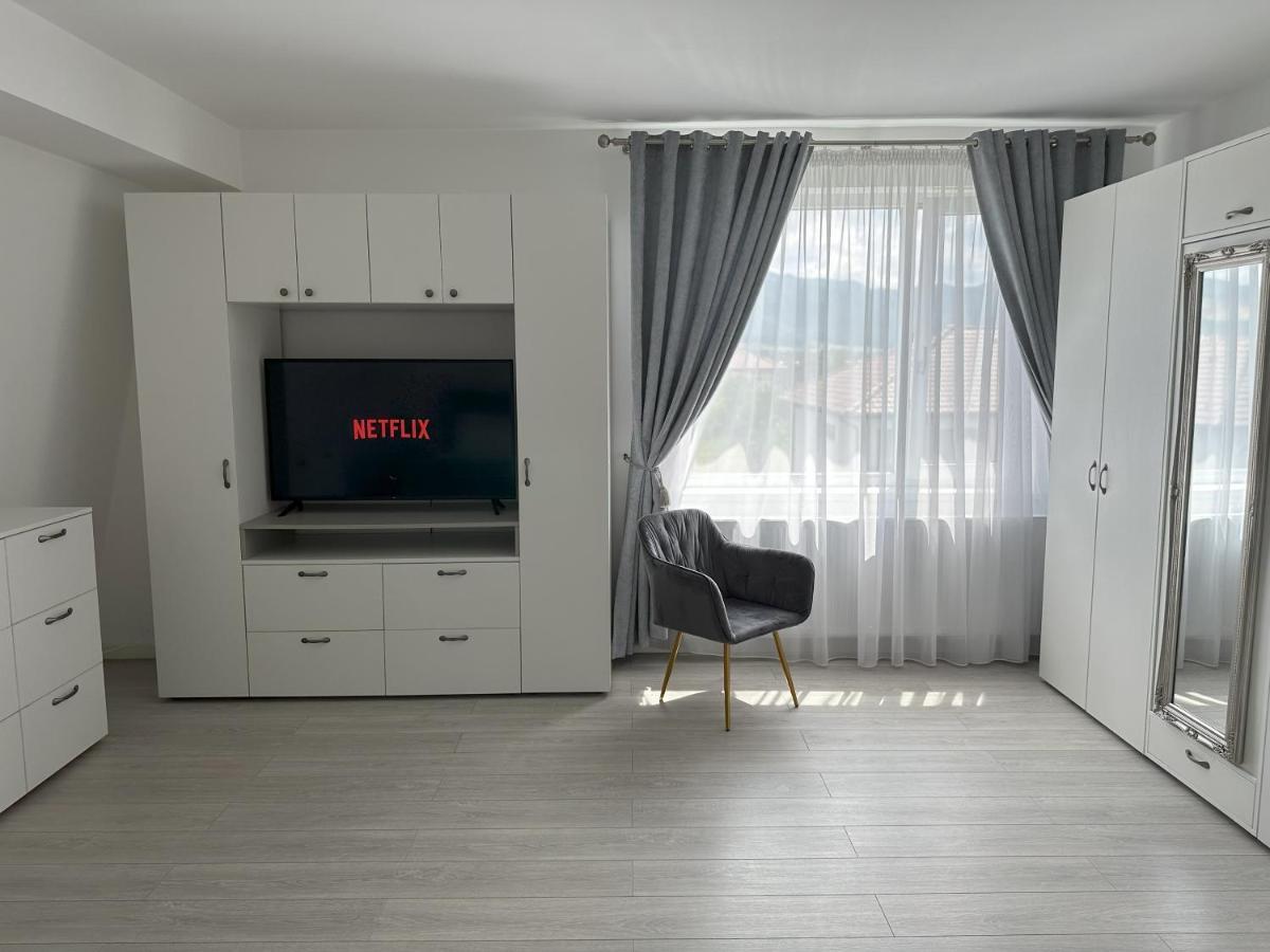 Apartmán Elisio - Maple House Ghimbav Exteriér fotografie